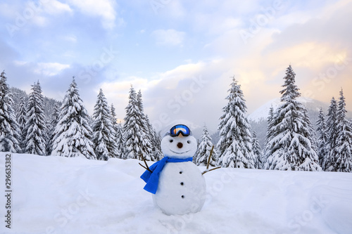 Funny snowman in ski glasses and blue scraf. Winter landscape with trees in the snowdrifts, the lawn covered by snow. © Vitalii_Mamchuk