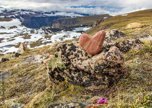 Beautiful, pink, heart-shaped stone in the wild photo