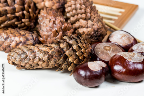 fir cones with chestnuts on a white background