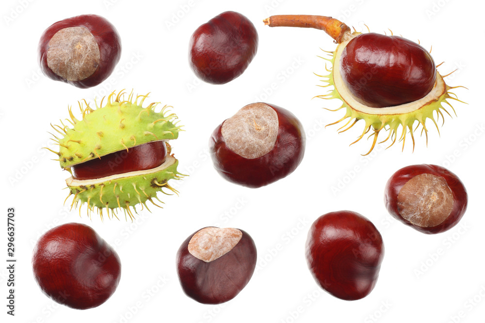 chestnuts isolated on white background. top view