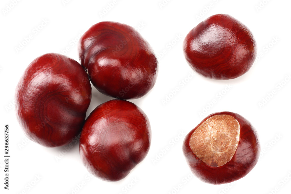 chestnuts isolated on white background. top view chestnuts isolated on white background. top view