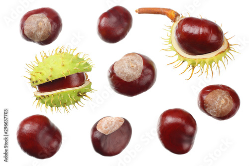 chestnuts isolated on white background. top view