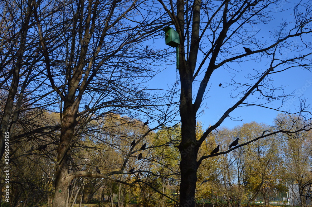 Fototapeta premium Autumnal landscape with fall trees and green birdhouse