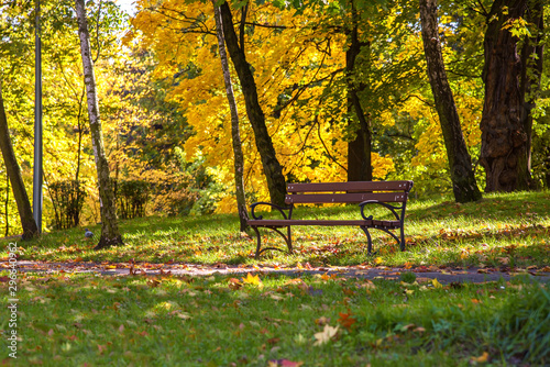 Fototapeta Naklejka Na Ścianę i Meble -  Colorful sunny autumn in a park