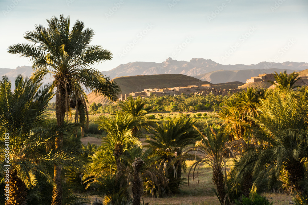 Kasbah and Palmeria near Agdz, Morocco