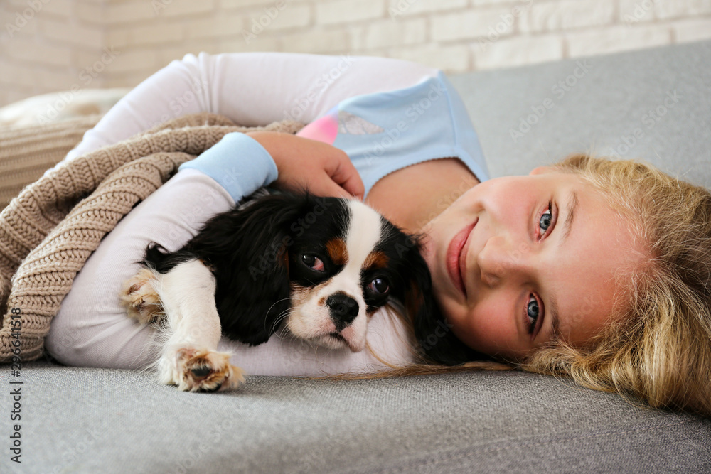 Portrait of little girl with long blonde straight hair playing with black  and white Cavalier King