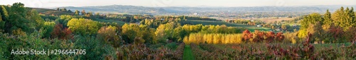 Obstplantage in Scharten in Oberösterreich mit Blick in das Eferdinger Becken im Herbst Panorama photo