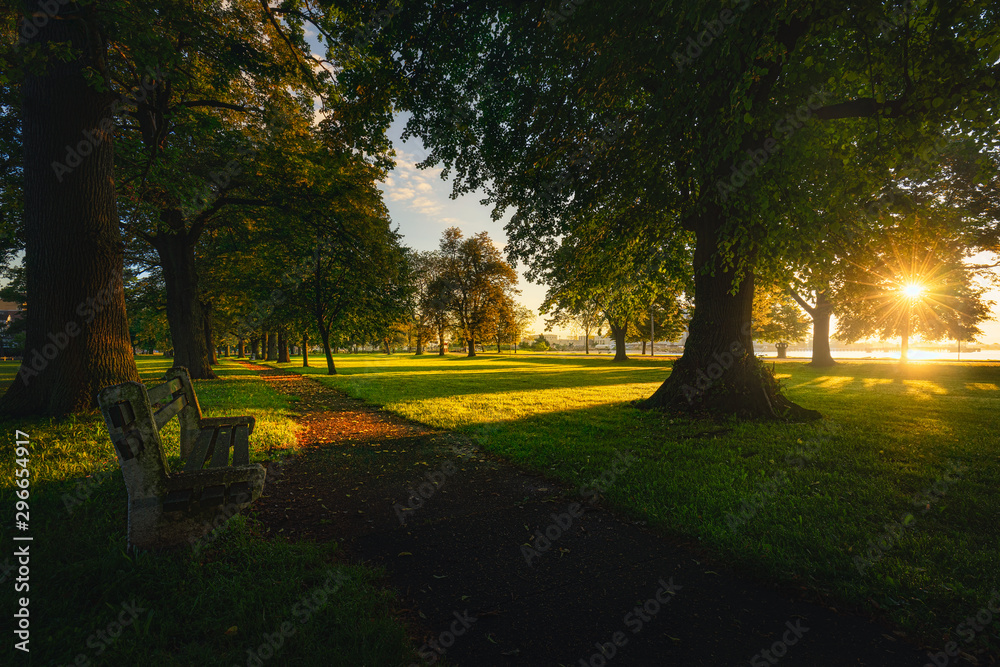 Obraz premium Summer in the park