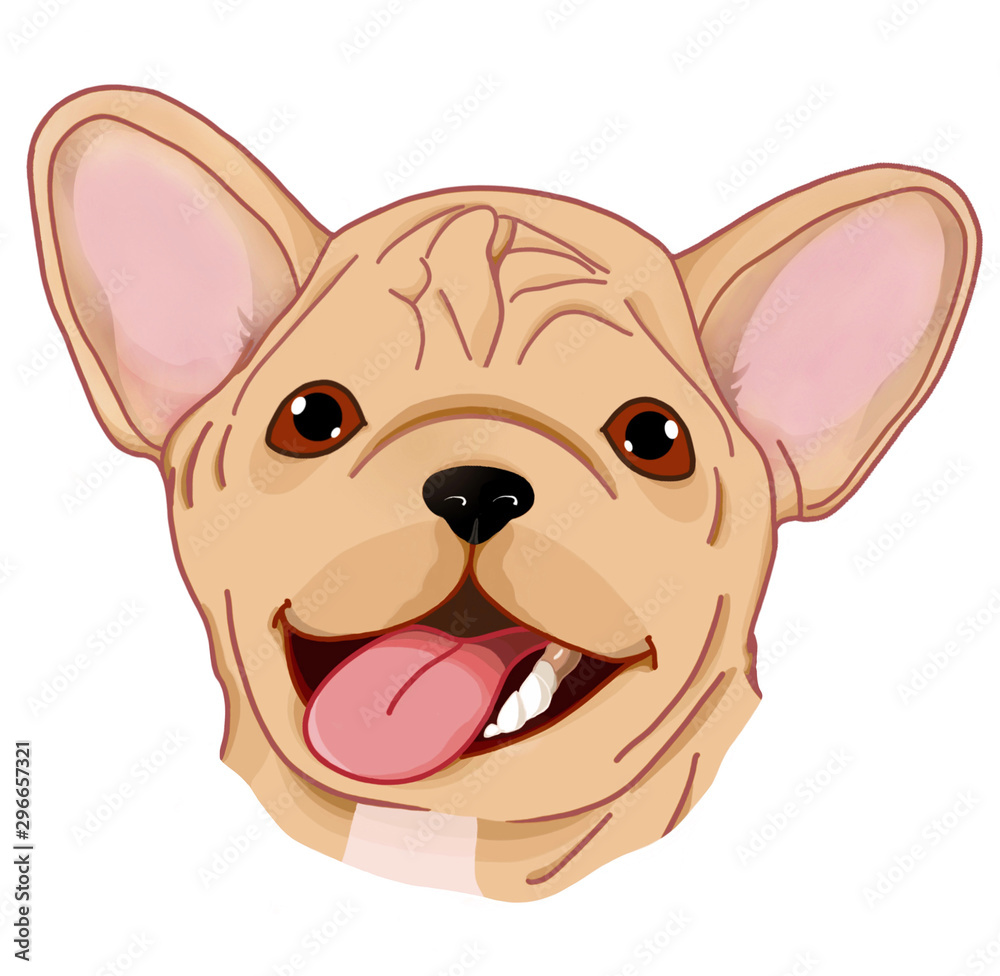 Portrait of a French bulldog. Dog smiles. Portrait of a bulldog on a white background. Portrait of a French bulldog. Dog smiles. Portrait of a bulldog on a white background.