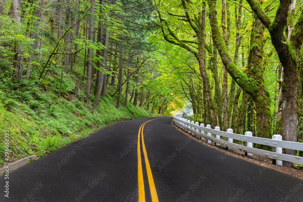 Fototapeta premium A winding road along the Columbia River Scenic Byway with the classic white fencing in Oregon