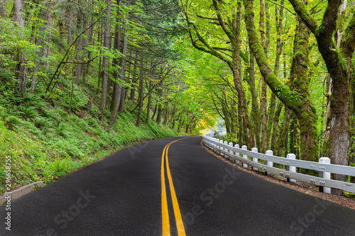 A winding road along the Columbia River Scenic Byway with the classic white fencing in Oregon photo