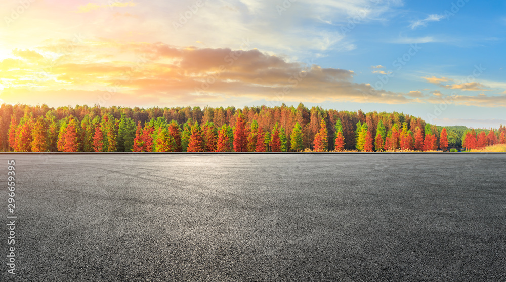 Empty race track ground and beautiful colorful forest landscape in autumn - obrazy, fototapety, plakaty 