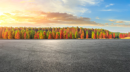 Empty race track ground and beautiful colorful forest landscape in autumn