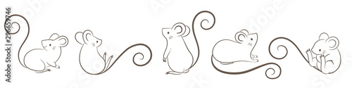 Fototapeta Zestaw ręcznie rysowane szczurów, myszy w różnych pozach na białym bacground. Wektorowa ilustracja, kreskówki doodley styl.