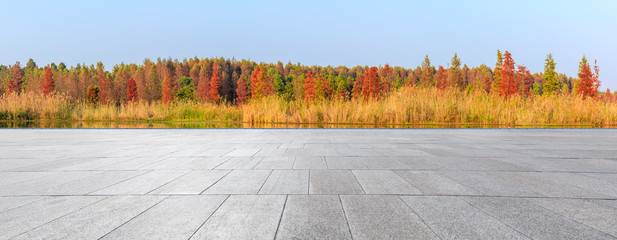 Empty square floor and beautiful colorful forest in autumn