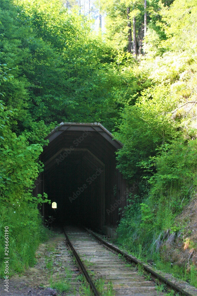 An old train tunnel seen in the forest