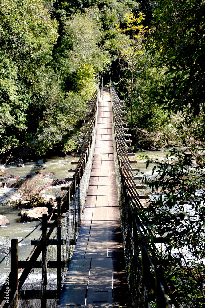 Obraz premium bridge in forest