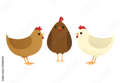 Three French hens Fototapet