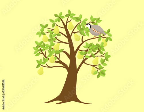 Partridge in a pear tree