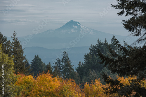 Mt Hood and fall foliage in Portland, Oregon