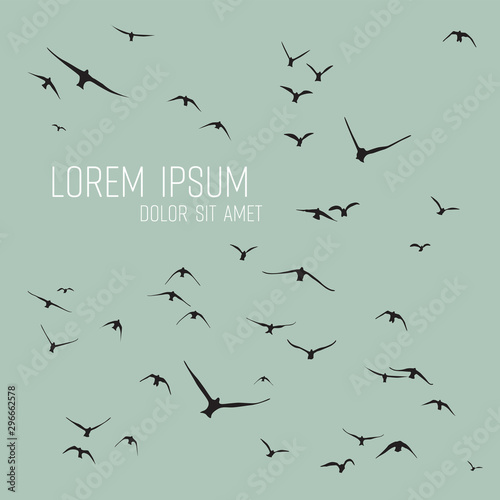 silhouette of a flock of flying birds