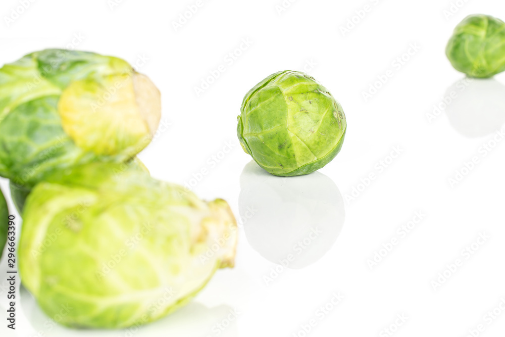 Group of four whole arranged fresh green brussels sprout isolated on white background Group of four whole arranged fresh green brussels sprout isolated on white background