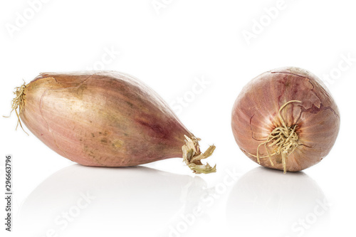 Group of two whole arranged fresh brown shallot isolated on white background