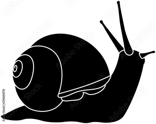 snail symbol on white background