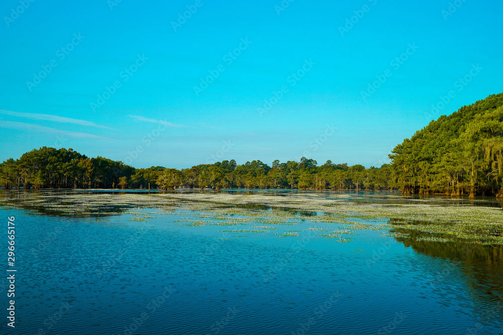 Wide open view at Caddo Lake near Uncertain, Texas