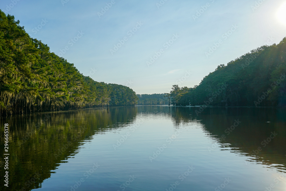 View from a boat at Caddo Lake near Uncertain, Texas