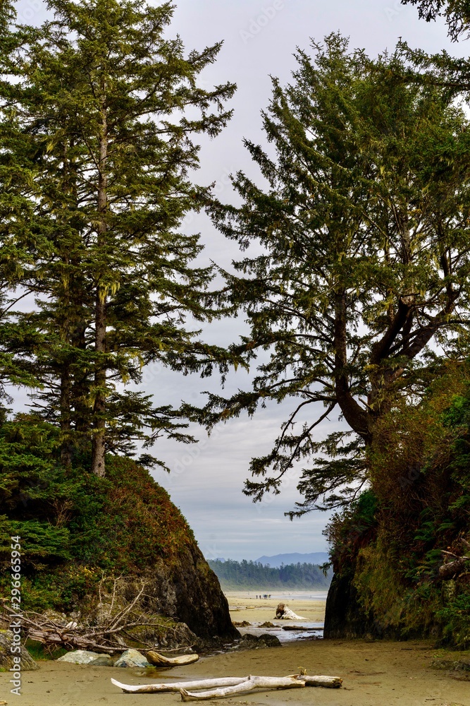 Towering trees on rock outcroppings create scenic opening at coastal beach at Long Beach National Park, Tofino, British Columbia, Canada 