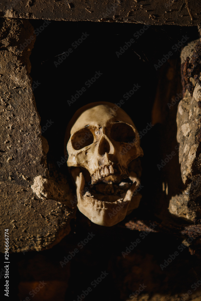 The skull in the dark basement is illuminated by harsh light. Terrible picture of a layout of a skull for Halloween. The skull in the dark basement is illuminated by harsh light. Terrible picture of a layout of a skull for Halloween.