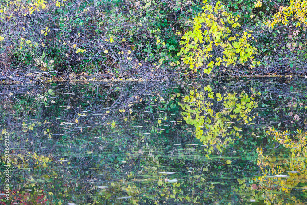 Maple forest and reflection on lake in autumn, St-Bruno, Quebec, Canada Maple forest and reflection on lake in autumn, St-Bruno, Quebec, Canada