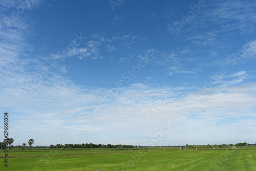 Blue sky background with green fields and white clouds.