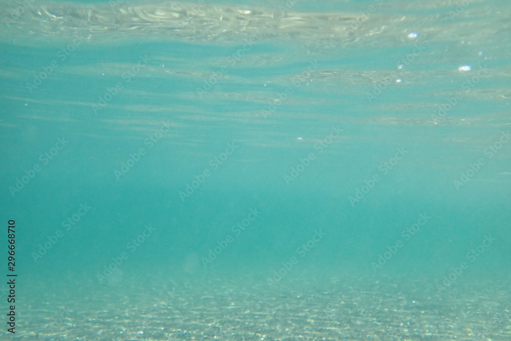 Obraz premium 海中写真