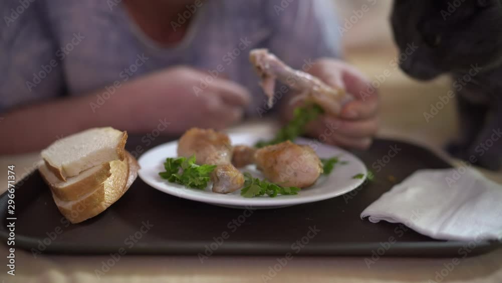 Man with cat eating dinner lying in bed watching television. Plate with fried chicken drumsticks on serving tray in front of tv in bedroom. Man with cat eating dinner lying in bed watching television. Plate with fried chicken drumsticks on serving tray in front of tv in bedroom.