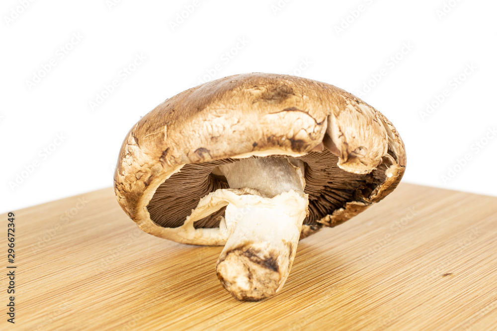 Fototapeta premium One whole fresh brown mushroom champignon on bamboo cutting board isolated on white background