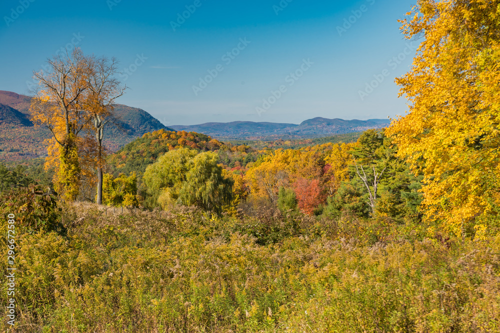 Panorama of autumn landscape with trees and blue sky Panorama of autumn landscape with trees and blue sky