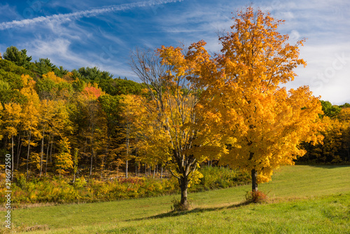Autumn landscape of Berkshire Hills, Massachusetts, USA with trees and blue sky