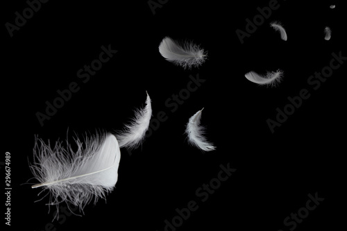 Abstract, soft white feathers floating in the air, black background