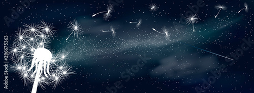 Fluff dandelion in the universe. Space background. Fluffy dandelion in the background of the universe. Shining stars and nebula. Night starry sky