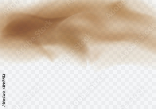 Desert sandstorm, brown dusty cloud or dry sand flying with gust of wind, big explosion realistic texture vector illustration isolated on transparent background