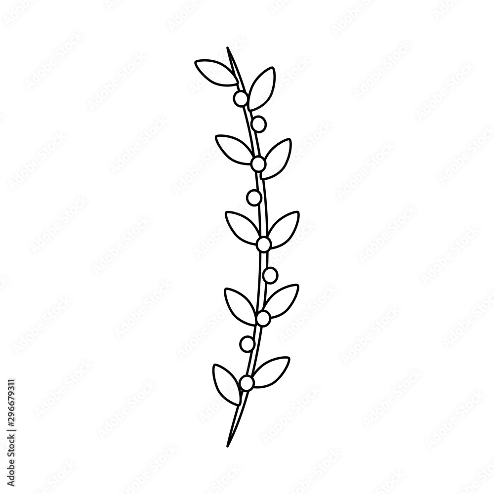 christmas floral decoration on white background christmas floral decoration on white background