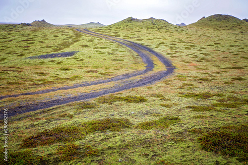 Beautiful landscape with wooly moss on a rainy day in Iceland photo