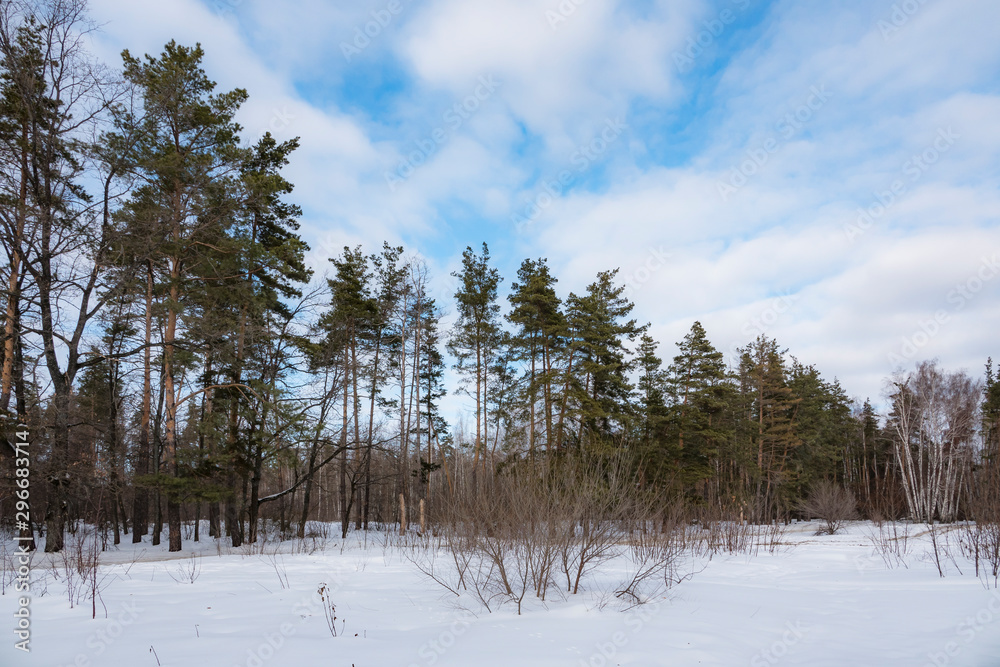 custom made wallpaper toronto digitalWinter