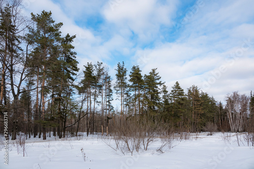 Wallpaper Mural Winter Torontodigital.ca
