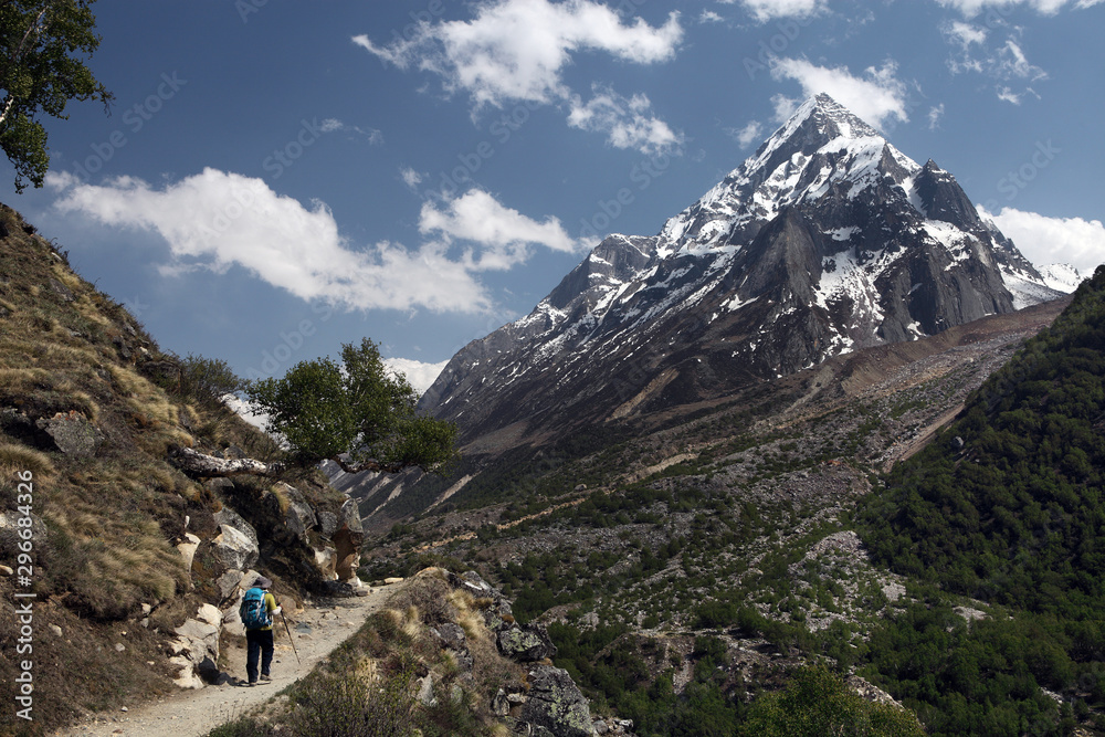 Trek route to Gaumukh Tapovan in Gangotri National Park, Uttrakhand State in Indian Himalayas.