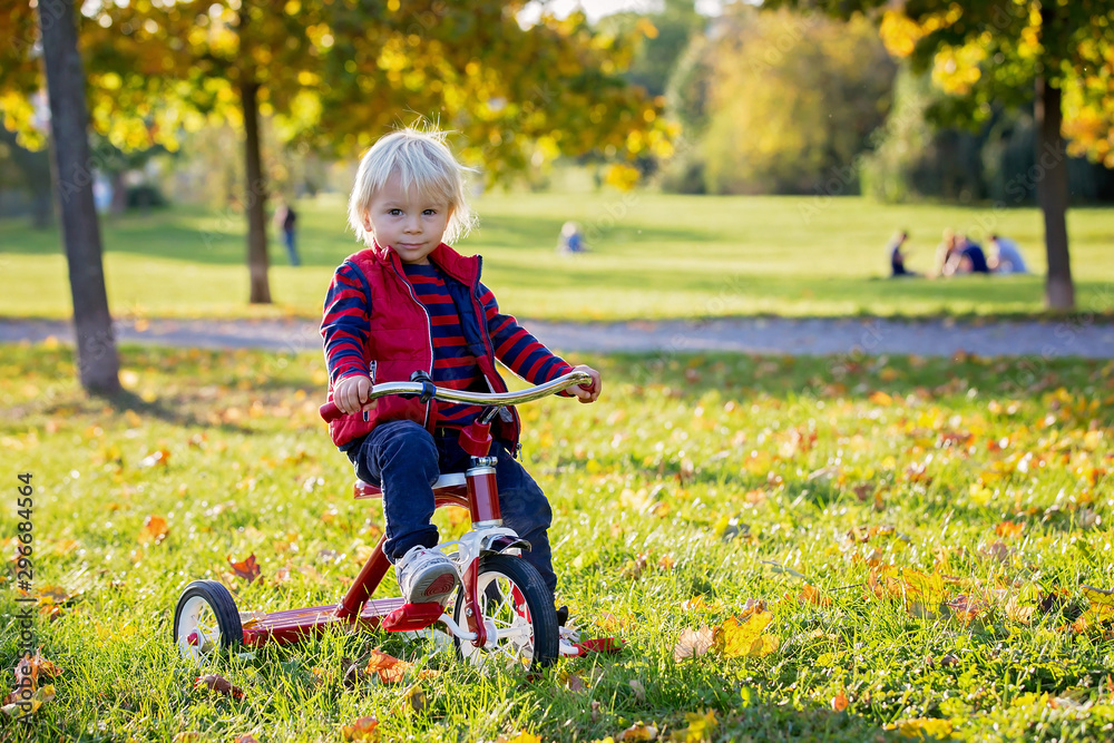 Beautiful blonde two years old toddler boy, riding red tricycle in the park on sunset Beautiful blonde two years old toddler boy, riding red tricycle in the park on sunset