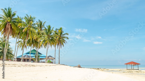 Beautiful view at derawan Island  Indonesia. coconut tree and white sand on the beach