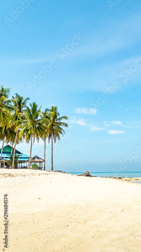 Beautiful view at derawan Island, Indonesia. coconut tree and white sand on the beach © hilmawan nurhatmadi